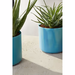 elho 8711904516383 vaso da fiori Blu Plastica - Vista aggiuntiva 7