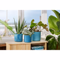 elho 8711904516383 vaso da fiori Blu Plastica - Vista aggiuntiva 8