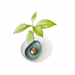 elho 8711904516536 accessorio per vaso