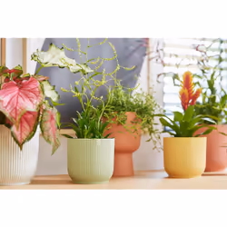 elho 8711904517748 vaso da fiori Verde Plastica - Vista aggiuntiva 7