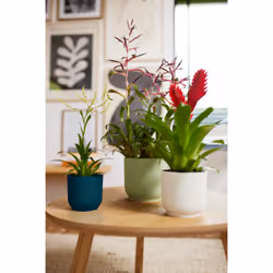 elho 8711904517748 vaso da fiori Verde Plastica - Vista aggiuntiva 8