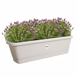 elho 8711904518691 fioriera Esterno Plastica Grigio - Vista aggiuntiva 4