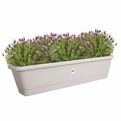 elho 8711904518851 fioriera Esterno Plastica Grigio - Vista aggiuntiva 4