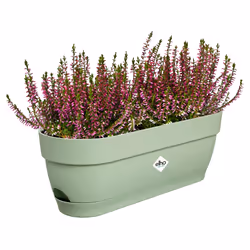elho 8711904521745 fioriera Plastica Verde - Vista aggiuntiva 4