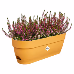elho 8711904521837 fioriera Plastica Giallo