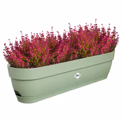 elho 8711904522025 fioriera Plastica Verde - Vista aggiuntiva 4