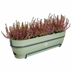 elho 8711904522537 fioriera Plastica Verde