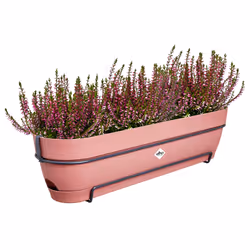 elho 8711904522568 fioriera Plastica Rosa