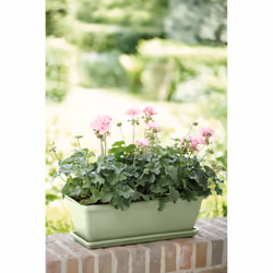 elho 8711904527389 accessorio per vaso Sottovaso