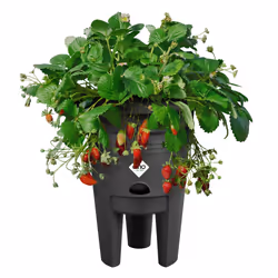 elho 8711904527792 vaso da fiori Nero Plastica