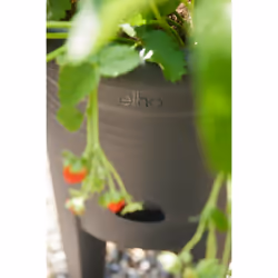 elho 8711904527792 vaso da fiori Nero Plastica - Vista aggiuntiva 6