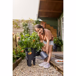 elho 8711904527792 vaso da fiori Nero Plastica - Vista aggiuntiva 7