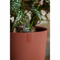 elho 8711904528737 vaso da fiori Rosso Plastica - Vista aggiuntiva 6