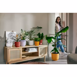 elho 8711904528737 vaso da fiori Rosso Plastica - Vista aggiuntiva 8