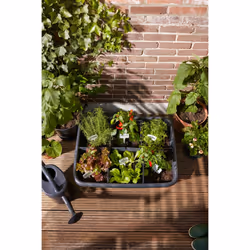 elho 8711904529581 fioriera Esterno Plastica Nero - Vista aggiuntiva 8