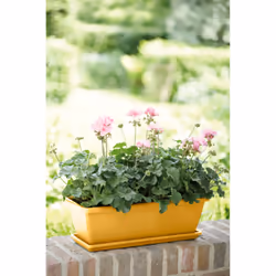 elho 8711904530211 accessorio per vaso Sottovaso