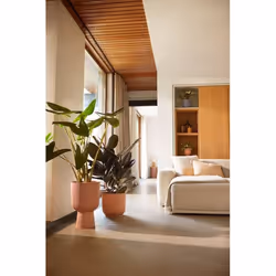 elho Vibes Fold Rosa Plastica 1 pz - Vista aggiuntiva 7