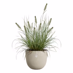 elho Sereh Rund Beige Plastica 1 pz - Vista aggiuntiva 3