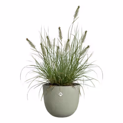 elho Sereh Rund Beige Plastica 1 pz - Vista aggiuntiva 3