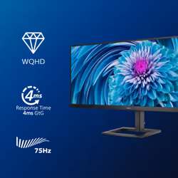 Philips E Line 345E2AE/00 34" Nero - Vista aggiuntiva 6
