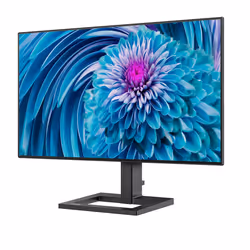 Philips E Line 275E2FAE/00 27" Quad HD LED Nero - Vista aggiuntiva 5