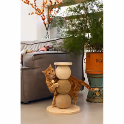 Designed by Lotte 409146 tiragraffio per gatto Tiragraffi per gatto - Vista aggiuntiva 5