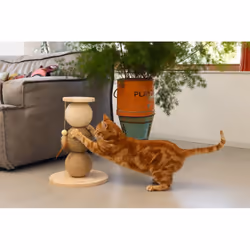 Designed by Lotte 409146 tiragraffio per gatto Tiragraffi per gatto - Vista aggiuntiva 6