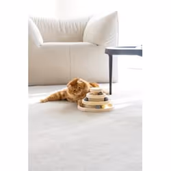 Designed by Lotte 409153 tiragraffio per gatto Torre tiragraffi per gatti