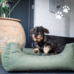 MADISON MAN1G362 letto per cani e gatti Cuscino cuccia