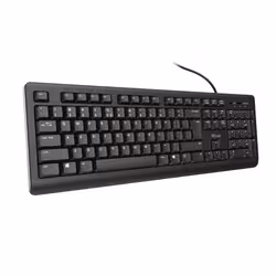 Trust Primo tastiera Universale USB QWERTY Inglese US Nero - Vista aggiuntiva 2