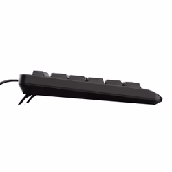Trust TK-150 tastiera Ufficio USB QWERTZ Tedesco Nero - Vista aggiuntiva 4