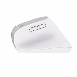 Trust Bayo+ mouse Ufficio Mano destra RF senza fili + Bluetooth Ottico 2400 DPI - Vista aggiuntiva 4