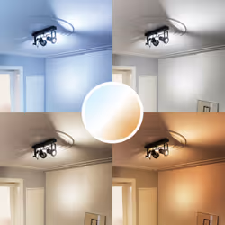 Trust 71296 soluzione di illuminazione intelligente Lampadina intelligente Wi-Fi - Vista aggiuntiva 4