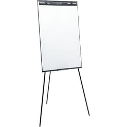 Legamaster 7-152810 blocco per lavagne e accessori Acciaio