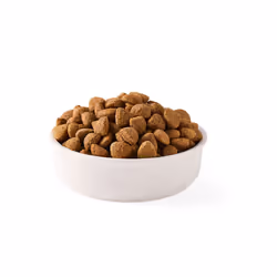 Yarrah Organic Vega 2 kg Adulto Cocco, Mais, Riso