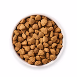 Yarrah Organic Vega 10 kg Adulto Cocco, Mais, Riso - Vista aggiuntiva 4