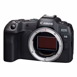 Canon EOS R8 + RF 24-105mm F4-7.1 IS STM MILC 24,2 MP CMOS 6000 x 4000 Pixel Nero - Vista aggiuntiva 7