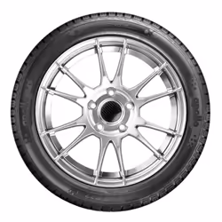 Apollo Alnac 4G ALL Season 155/70 R13 75T auto Pneumatici quattro stagioni Pneumatici FIAT: Seicento / 600 Hatchback, Punto I Hatchback, Uno Hatchback