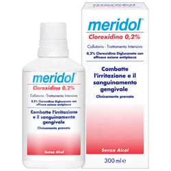 Meridol Collutorio Con Clorexidina 300 ml