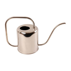 Esschert Design TG45 annaffiatoio 1,5 L Acciaio inox