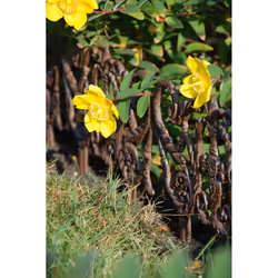 Esschert Design 8714982037665 Recinzione da giardino Recinzione metallica