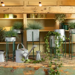 Esschert Design OZ27 vaso - Vista aggiuntiva 5