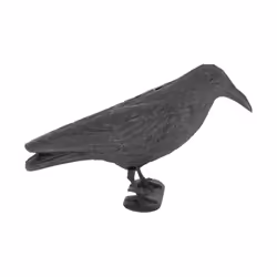 Esschert Design 8714982098659 statua da giardino Statua da giardino a forma di animale Polietilene Nero 1 pz - Vista aggiuntiva 7