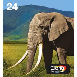 Epson Multipack 6 colori T24 Claria Photo HD in confezione Easy Mail Packaging, Nero, Ciano, Ciano chiaro, Magenta, Magenta c ...