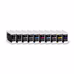 Epson SureColor SC-P700 - Vista aggiuntiva 8