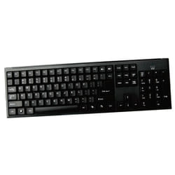 Ewent EW3108 tastiera Ufficio USB + PS/2 Italiano Nero
