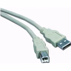 Gembird CC-USB2-AMBM-6, 1,82 m, USB A, USB B