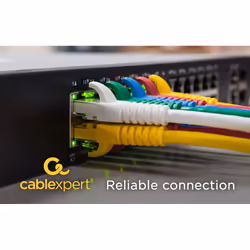 Gembird PP6U-5M cavo di rete Blu Cat6 U/UTP (UTP) - Vista aggiuntiva 5