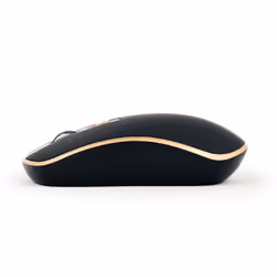 Gembird MUSW-4B-06-BG mouse Ufficio Ambidestro RF Wireless Ottico 1600 DPI - Vista aggiuntiva 3