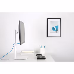 Neomounts Supporto da scrivania per monitor - Vista aggiuntiva 7